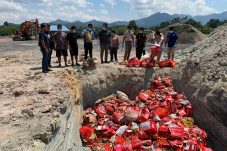 Polres Bengkayang Musnahkan 334 Kotak Wortel dan 12 Karung Kentang Ilegal Asal Malaysia