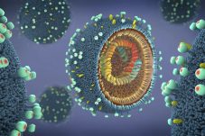 Kasus Flu Meroket di Indonesia, Cegah dengan Kenali Jenis Influenza A dan Gejalanya