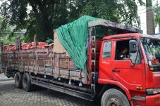 Bea Cukai Kalbagbar Gagalkan Penyelundupan 30 Ton Bawang Ilegal