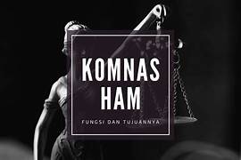 Komisi Nasional Hak Asasi Manusia Menyoroti Puluhan Pasal Krusial RUU HAM