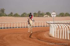 Atlet Balap Unta Indonesia Muhammad Ikhwannudin Jalani Debut dengan Baik