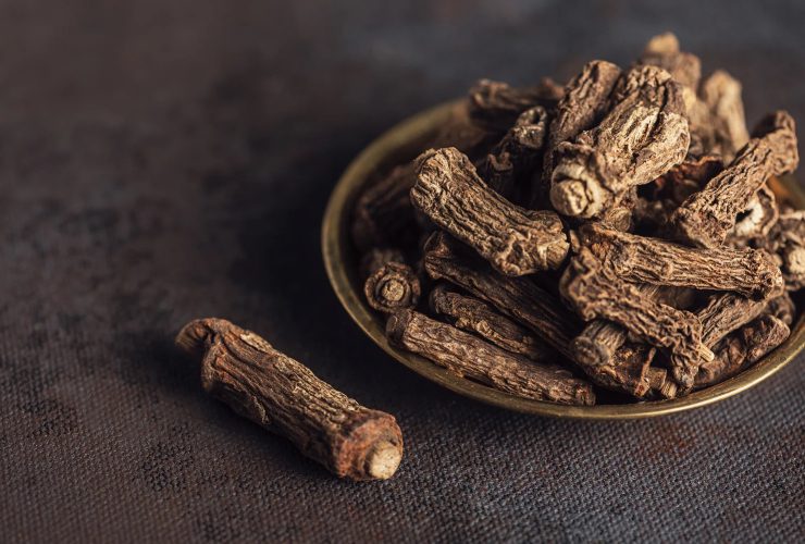 Sarsaparilla, Tanaman Anonim yang Miliki Banyak Manfaat