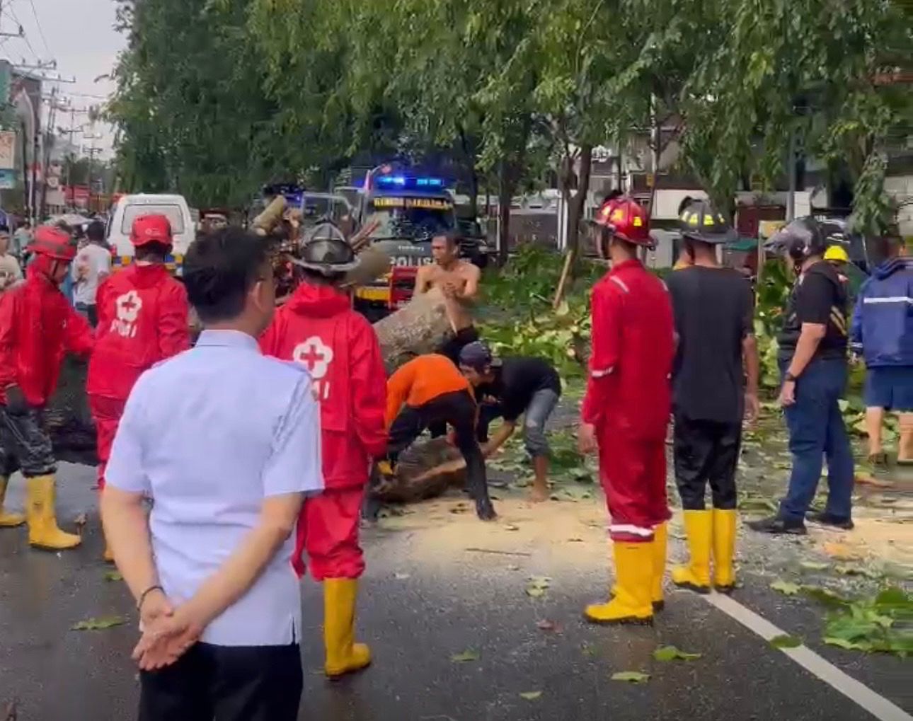Edi Kamtono Imbau Warga Waspadai Pohon Rawan Tumbang Saat Cuaca Ekstrem