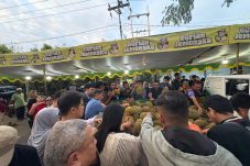 Musim Durian Jemongko Tiba, Ribuan Buah Ludes Diserbu Pembeli di Pontianak