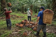 Peringati Hari Migran Internasional, Kesejahteraan dan Perlindungan Buruh Migran Harus Diperkuat