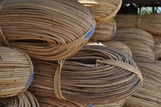 Lagi-lagi Rotan Ilegal yang Hendak Diselundupkan Digagalkan Bea Cukai Kalimantan Barat