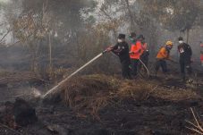 Bupati Sujiwo dan Tim Gabungan Turun Langsung Padamkan Karhutla, Warga Diingatkan Jangan Bakar Lahan