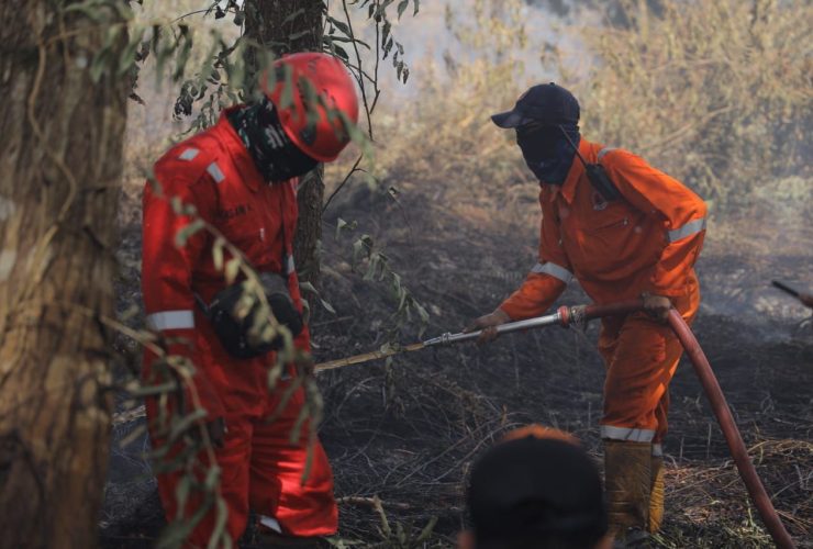 BPBD Pontianak Duga Sejumlah Lahan Sengaja Dibakar, Temukan Botol Bensin dan Daun Pisang Kering
