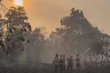 BMKG Ingatkan Potensi Karhutla di Kalbar Hingga Awal Februari
