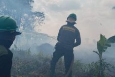 Karhutla di Kubu Raya Terus Berlanjut , Kobaran Api Mendekati Ruas Jalan