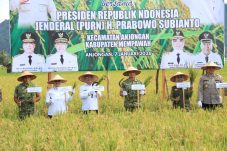 Panen Padi di Mempawah, Kalbar Optimistis Perkuat Swasembada Pangan