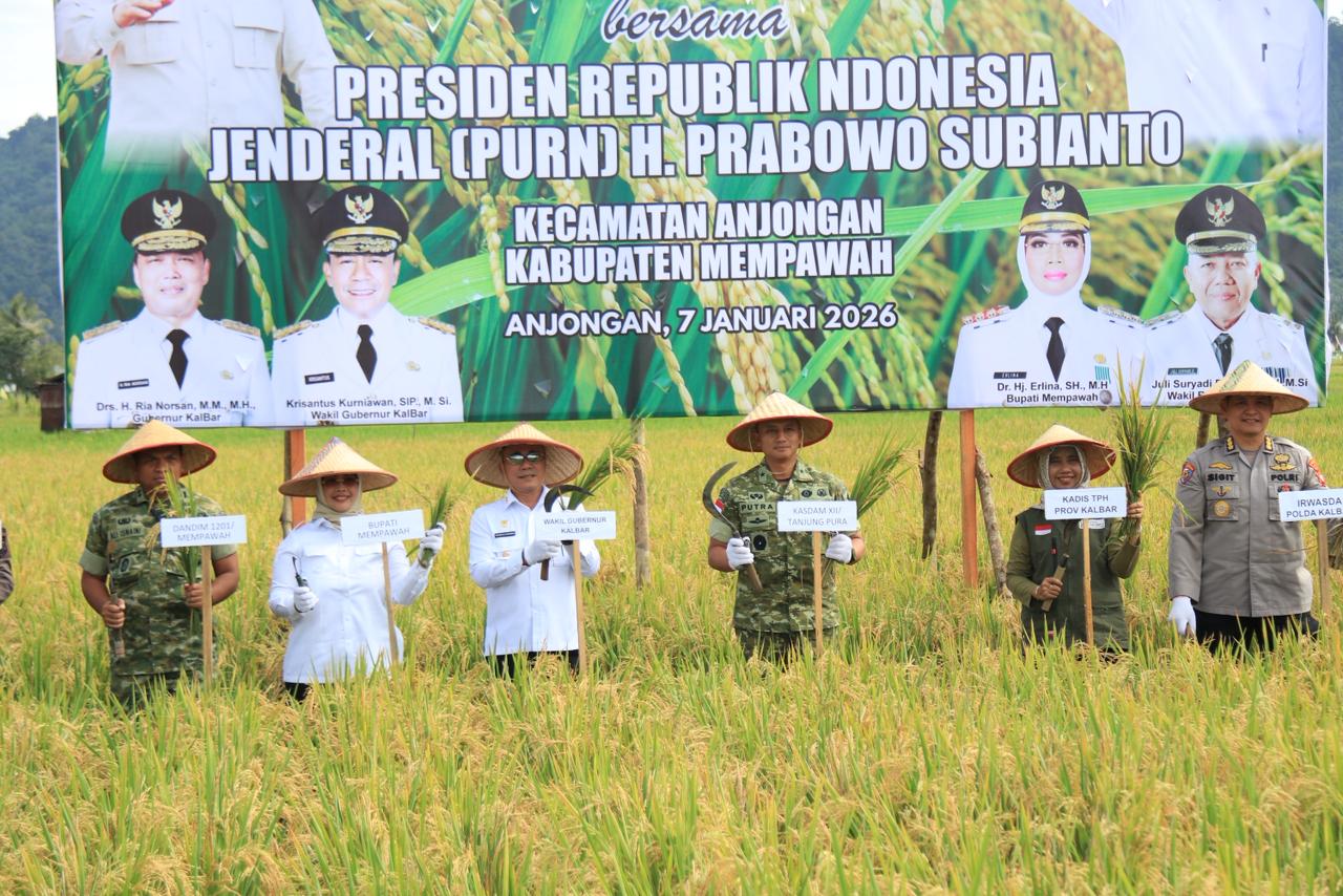 Panen Padi di Mempawah, Kalbar Optimistis Perkuat Swasembada Pangan