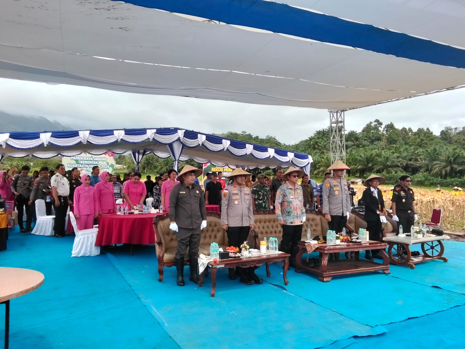 Panen Raya Jagung Serentak Program II Pemanfaatan Lahan Produktif Digelar di Wilayah Hukum Polres Bengkayang