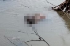 Bocah yang Hilang di Kembayan Ditemukan Tak Bernyawa di Sungai Sekayam