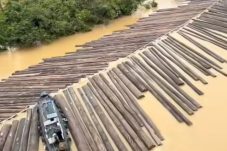 Video Kayu Gelondongan Viral, Kapolres Kapuas Hulu Tegaskan Bukan Terjadi di Wilayah Hukumnya