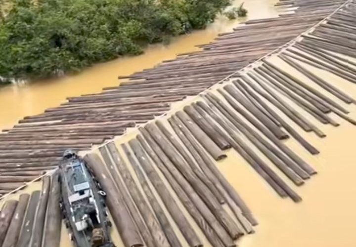 Video Kayu Gelondongan Viral, Kapolres Kapuas Hulu Tegaskan Bukan Terjadi di Wilayah Hukumnya