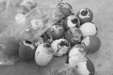 Temuan Telur Busuk di SDN 5 Semuntai, Kepsek Panggil Kepala SPPG