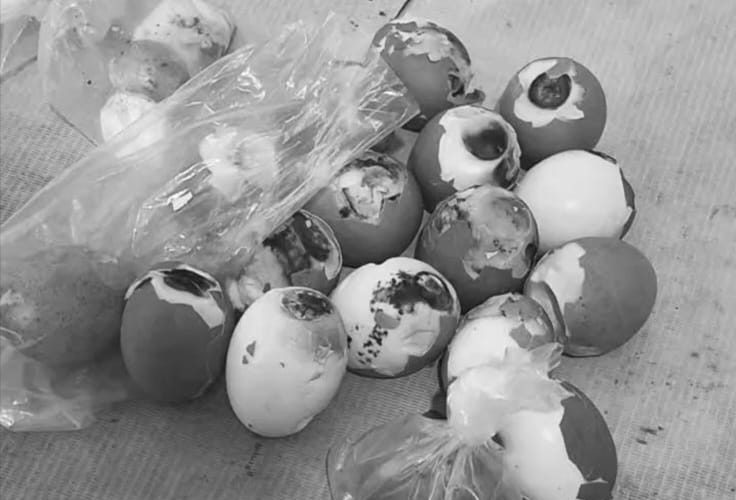 Temuan Telur Busuk di SDN 5 Semuntai, Kepsek Panggil Kepala SPPG