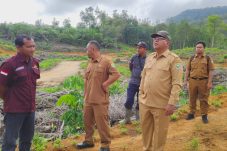 Tinjau Realisasi Penanaman Kembali oleh PT. CUT, Sekda Aswin: Sudah 100 Persen
