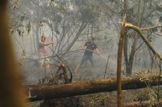Pemkot Pontianak Gencarkan Pencegahan Karhutla