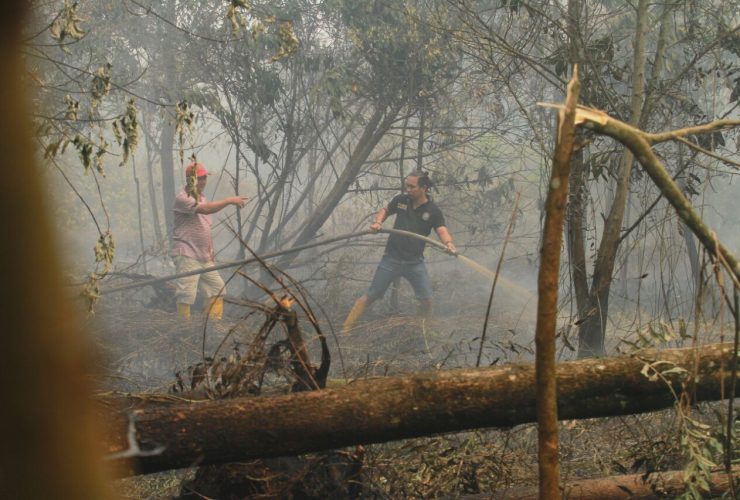 Pemkot Pontianak Gencarkan Pencegahan Karhutla