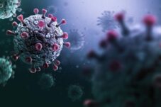 Kemenkes Rutin Lakukan Surveilans untuk Antisipasi Covid Cicada di Indonesia