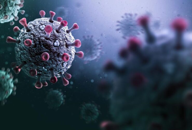 Kemenkes Rutin Lakukan Surveilans untuk Antisipasi Covid Cicada di Indonesia