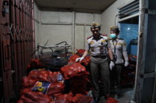 Pelindungan Maksimal, Barantin Amankan 42 Ton Produk Pangan Ilegal yang Siap Diedarkan