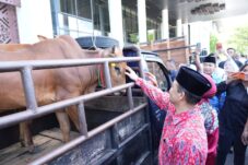 Jelang Idul Adha 1447 H, Pemprov Kalbar Salurkan Bantuan Hewan Kurban ke Seluruh Daerah