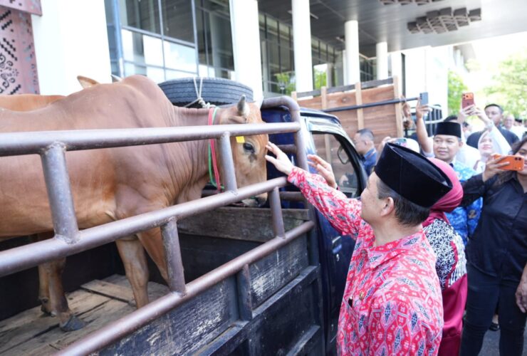 Jelang Idul Adha 1447 H, Pemprov Kalbar Salurkan Bantuan Hewan Kurban ke Seluruh Daerah