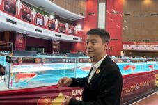 Arwana Merah Pontianak Diburu Pehobi, Dipercaya Bawa Hoki dan Kekayaan