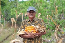 Kisah Abdul Hamid, Bertahan Jadi Petani di Lahan yang Sempit