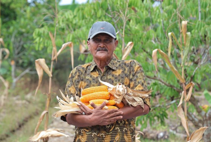 Kisah Abdul Hamid, Bertahan Jadi Petani di Lahan yang Sempit