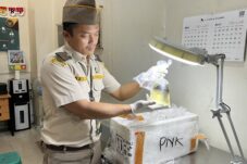 Karantina Kalbar Amankan Ratusan Ikan Hias Cupang Tanpa Dokumen