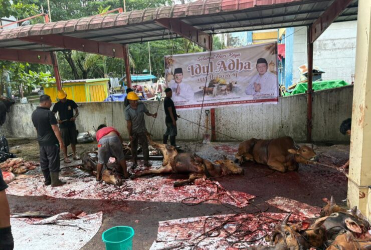 Gerindra Kalbar Salurkan Hewan Kurban, Yuliansyah: Bentuk Kepedulian untuk Masyarakat dan Disabilitas