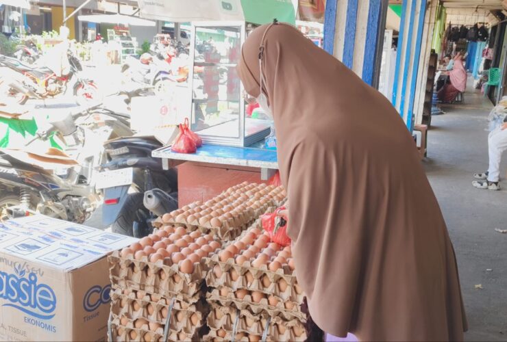 MBG Libur, Harga Telur di Sanggau Turun