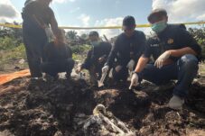 Tak Terima Diputuskan, Seorang Pria di Ketapang Tega Habisi Nyawa Sang Pacar dan Menguburnya di Kebun Sawit