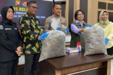 Polisi Temukan 551 Kg Sisik Tenggiling Siap Jual di Pontianak