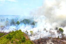 WALHI Rilis ‘Dosa’ Perusahaan Pembakar Lahan di Kalbar