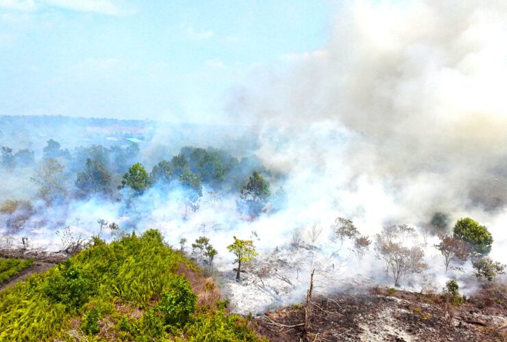 WALHI Rilis ‘Dosa’ Perusahaan Pembakar Lahan di Kalbar