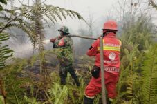 Satgas Karhutla Kodim 1207/Pontianak Tangani Kebakaran Hutan dan Lahan di Sungai Raya