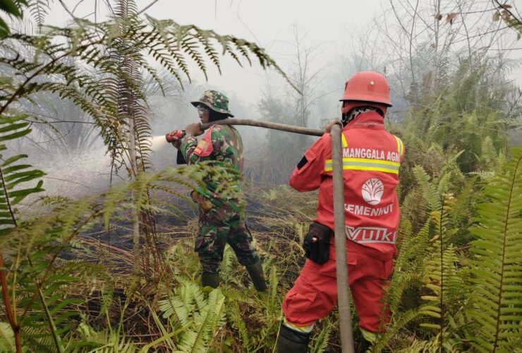 Satgas Karhutla Kodim 1207/Pontianak Tangani Kebakaran Hutan dan Lahan di Sungai Raya