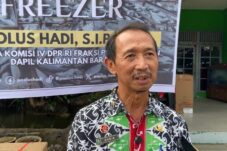 Kemarau Panjang, Produksi Pertanian di Sanggau Merosot