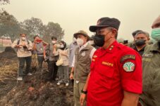 Empat Perusahaan di Kalbar Lakukan Pembakaran Berulang, Hanya Satu yang Disegel