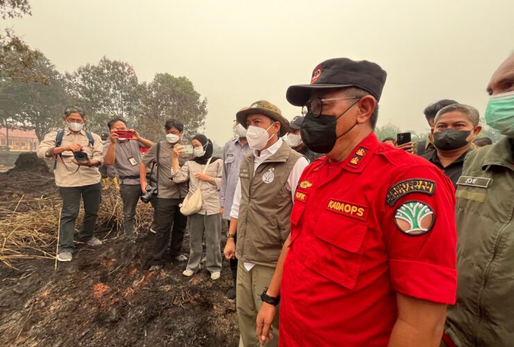 Empat Perusahaan di Kalbar Lakukan Pembakaran Berulang, Hanya Satu yang Disegel