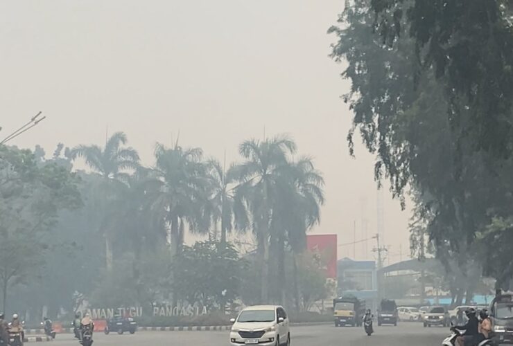 Tidak Hanya ISPA, Kabut Asap Juga Picu Serangan Jantung