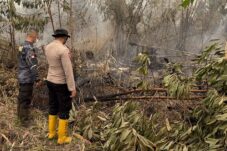Karhutla Rasau Jaya Belum Padam, Lahan Gambut Masih Berasap