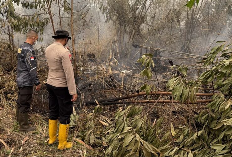 Karhutla Rasau Jaya Belum Padam, Lahan Gambut Masih Berasap