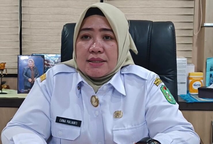 Video Nakes Tolong Persalinan di Perahu Viral, Kadinkes: Kejadian Tahun Lalu, Kini Akses Darat Sudah Terhubung