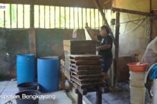 Kisah Sukses Wahyudin, Perajin Tahu Bengkayang Binaan Bank Kalbar